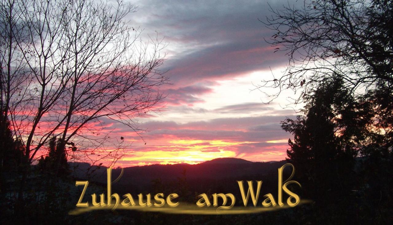Zuhause Am Wald Apartamento Brilon Exterior foto