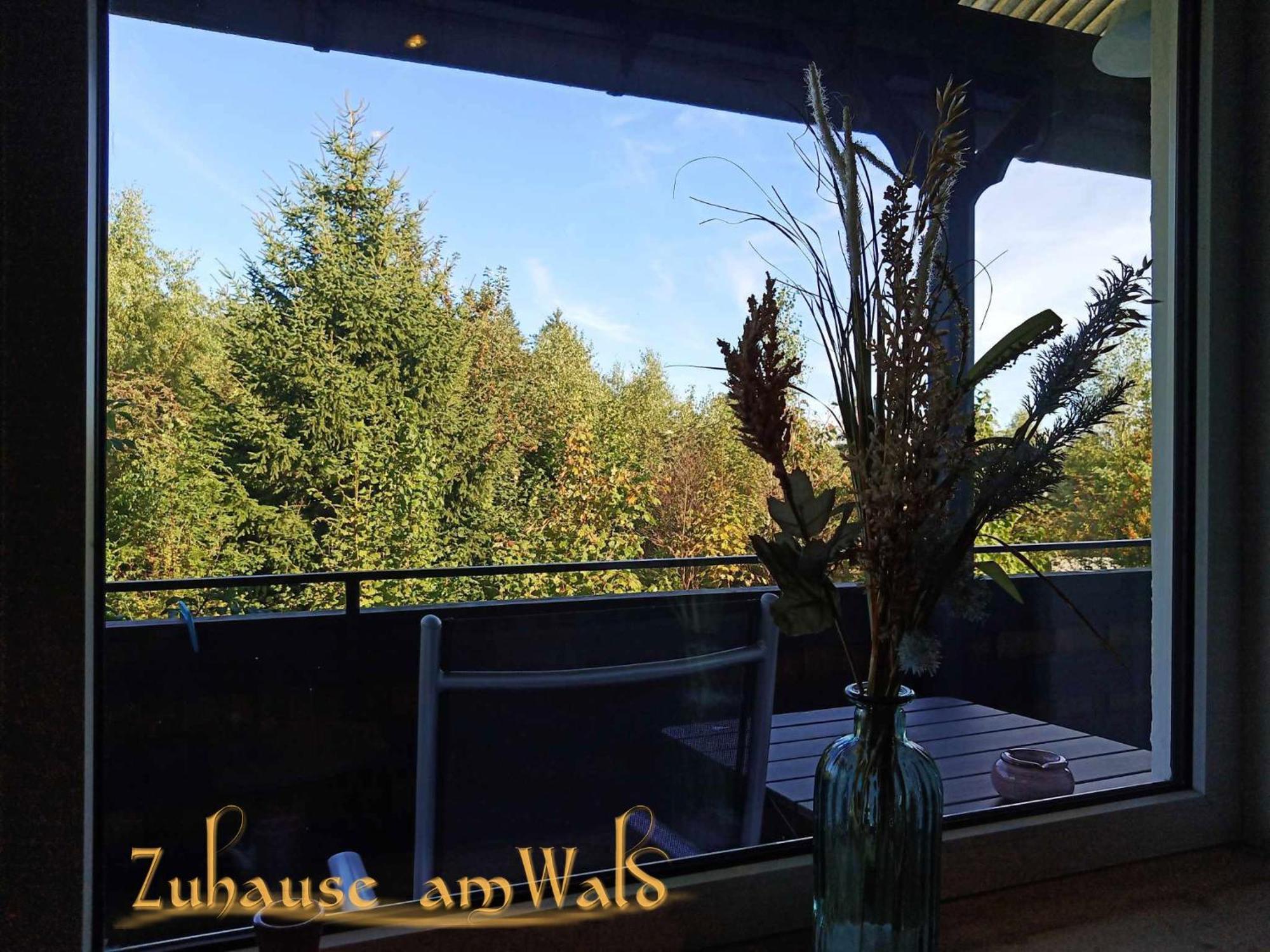 Zuhause Am Wald Apartamento Brilon Exterior foto