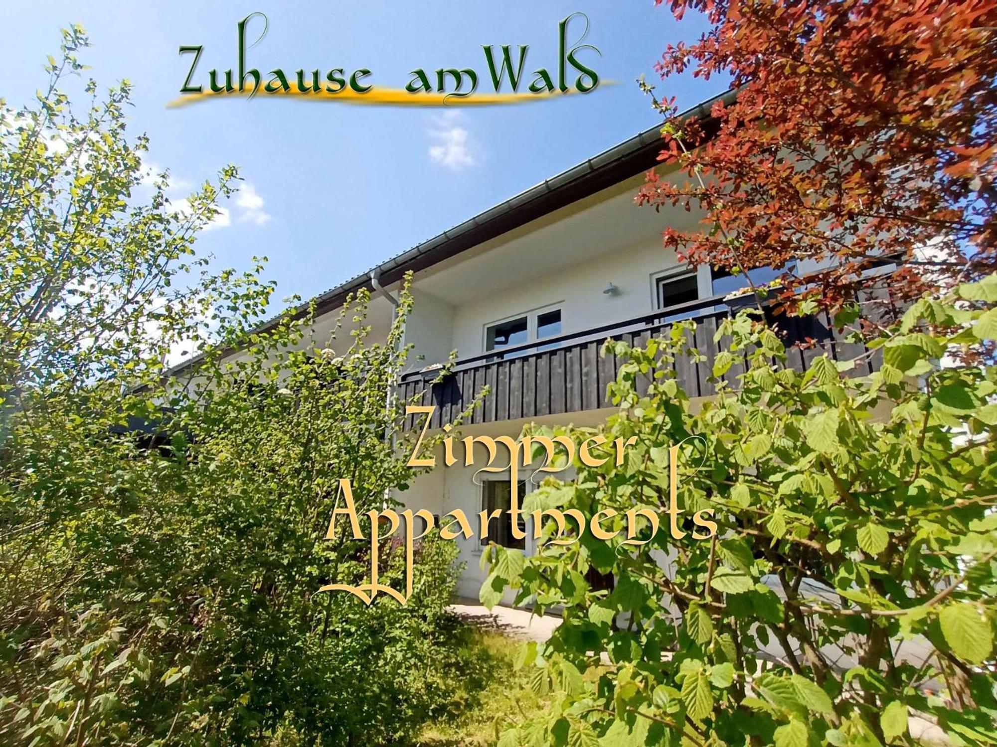 Zuhause Am Wald Apartamento Brilon Exterior foto